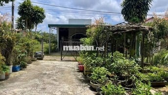 Đất sài gòn 2500m2 giá 790tr bao sổ