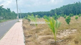 CẦN SANG MIẾNG ĐẤT MẶT TIỀN ĐƯỜNG NHỰA,GẦN CHỢ NGANG 5 DÀI 60 CHỈ 500T