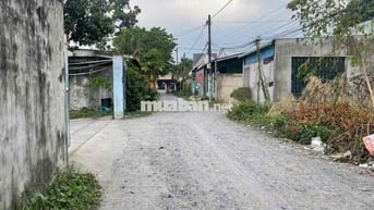 bán đất dân cư hiện hữu Tân Thạnh Đông