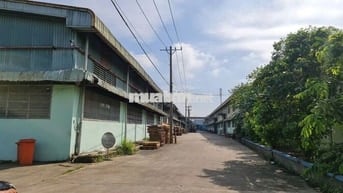 Cho thuê 2 kho xưởng 900–1.300m² Trần Đại Nghĩa, Bình Tân,PCCC tự động