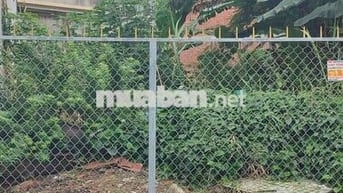 CẦN BÁN ĐẤT –  Cần Giuộc, LA, 850tr/119m² full thổ cư, Gần KCN Tân Kim