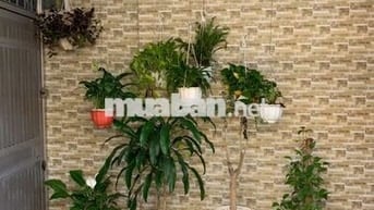 Chính chủ cần cho thuê nhà ngõ 110 đường Nguyễn Hoàng Tôn