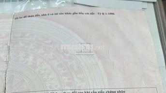 🎄 SIÊU PHẨM👉Đường Thông Ô TÔ Đỗ Cửa

🥦 Thôn thượng - Văn Hoàng - Ph