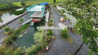 Nhà vườn Chợ Trảng Bàng, Đường N2 700m2(10x70)m, SHR, Giá 980tr