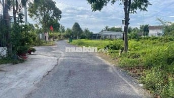 ĐẤT THỔ MẶT TIỀN ĐƯỜNG HUYỆN 25C