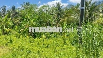 Đất thổ cư Ngãi Tứ  huyện Tam Bình, tỉnh Vĩnh Long