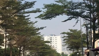 Bán 70m đất 20.5 tỷ mặt tiền đường Bạch Đông Ôn P. An Khánh.