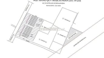 đất sổ đỏ 10300m2 đường Hồ Chí Minh, Trảng Bàng,TN