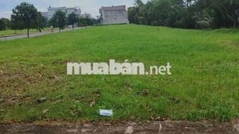 CẦN BÁN GẤP ĐẤT – Đ. Hoàng Phan Thái, xã Bình Chánh, 90m²/900tr