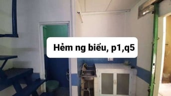 Cho thuê nhà nguyên căn trong hẻm Nguyễn Biểu, P1, Q5