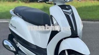 yamaha- Grande