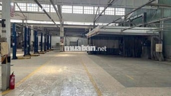 100 Cô Giang, Phường Cô Giang, Q1  Diện tích: 4.200m2 ( 50m x 84m)