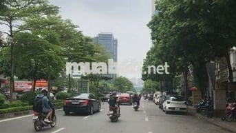 Cần bán tòa kính nhà mặt phố Nguyễn Văn Cừ 195m2 giá 62,79 tỷ