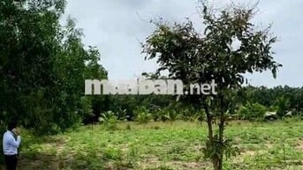 Đất ngộp TP Hồ Chí Minh - 200m2 giá chỉ 590tr
