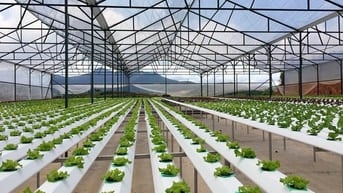 Cần bán gấp 7200m2 có 300 thổ cư. Đã tách 16 sổ.