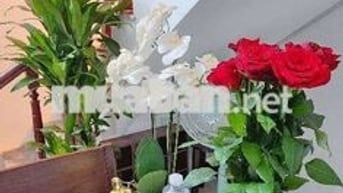 🧨VỊ TRÍ #BẠCH_MAI _ #PHỐ_HUẾ

🏡
Nhà mới kính coong