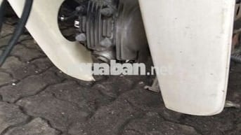Xe cọp