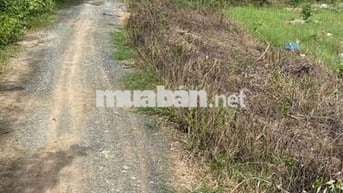 Đất vườn dt 1007,92m giá 800tr có 3 lô bình đức bến lức Long An.