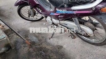SYM Magic 100. Máy mạnh im. Vọt.
