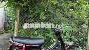 dream thái 12ly54 bstp chính chủ