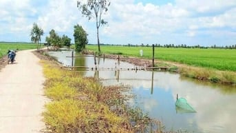 Hàng thơm, 1000m2 đất vườn View Kênh cực đẹp, 720tr