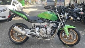 hornet 600