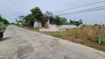 Bán 2 nền MT đường Nguyễn Thị Bài, Cần Giuộc. 500m2/ 1ty125, gần QL50