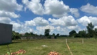 🌟 BÁN ĐẤT ĐƯỜNG LÊ THỊ VUI – PHƯỚC HIỆP, CỦ CHI – GIÁ TỐT 🌟 GIÁ 550tr