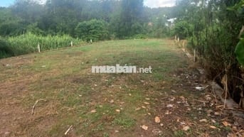 lô đất 5 x 24 =120m2 ( 100 m thổ cư) đường oto