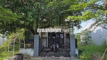 CC bán đất mặt tiền Tỉnh lộ 10A- TP Huế. Tặng kèm nhà cấp 4