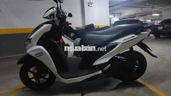 📣📣 Freego 2020, chính chủ tphcm chạy kỹ