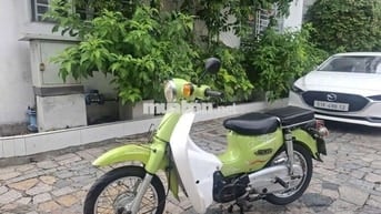 Xe cúp 50cc han quốc