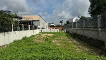 CẦN BÁN GẤP LÔ ĐẤT TÂN THÔNG HỘI CỦ CHI 343M2 GIÁ 580 TRIỆU, SỔ RIÊNG