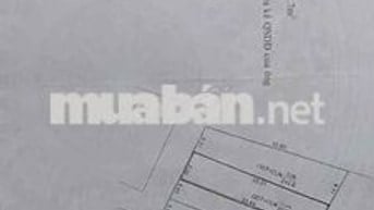 Nhà mặt tiền 232m2, có 2 PN,đường Lý Thái Tổ, Phường Bà Ria, TPHCM