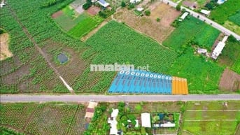 Sang 2 Lô đất 300m2 Đường DT765, Bà Rịa - Vũng Tàu - SHR