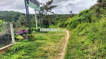 🌿 BÁN ĐẤT NGHỈ DƯỠNG – CÓ SỔ ĐỎ RIÊNG – HUYỆN BẢO LÂM, LÂM ĐỒNG 🌿