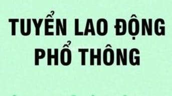 TUYỂN LAO ĐỘNG PHỔ THÔNG TẠP VỤ  , NHÂN VIÊN KHO HÀNG VÀ TẠI CÁC QUẬN 