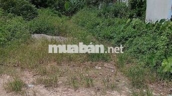 Bán Đất - Thái Lai(Minh Trí) - 120M2 Full Thổ Cư- 1,65 Tỷ -Đường Ô Tô