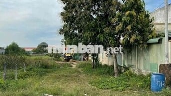 (56)BÁN GẤP LÔ ĐẤT 160,8M² – XÃ TÂN THÔNG HỘI, CỦ CHI – CHÍNH CHỦ.