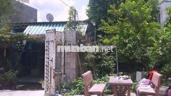 CẮT LỖ SÂU LÔ ĐẤT NGAY TÂN HIỆP 11, TÂN HIỆP, HÓC MÔN ( 6x17m ) 480TR