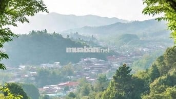 CHO THUÊ KHÁCH SẠN MẶT TIỀN BÀ TRIỆU, P. XUÂN HƯƠNG - ĐÀ LẠT