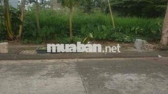 CHÍNH CHỦ LÔ ĐẤT ĐẸP TÁI ĐỊNH CƯ PHONG NAM HÒA XUÂN ĐƯỜNG 7,5M