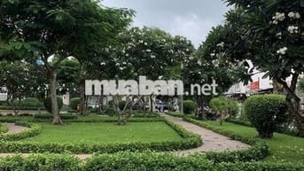 Bán nhà Mặt tiền Đường 8m KDC Bông Sao Lô 48m2(4x12) 13tr/tháng Quận 8