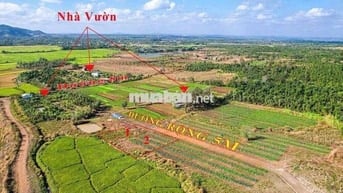#Thôn8, #CưÊbur (cũ), Phường BMT, Cách Phố 9Km