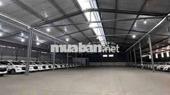 Thuê kho bãi Quận 7, DT 850m có tường xây kiên cố đẹp - chuẩn.
