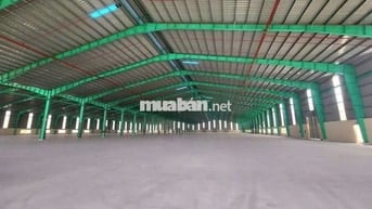 Cho thuê xưởng 55.000m2 trong Hớn Quản Bình Phước