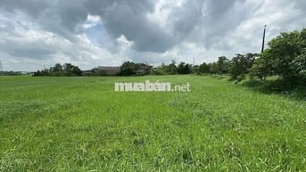 Đất lúa giá tốt Xã Tân Phú, Đức Hòa, 1,5 tỷ, 1680 m2