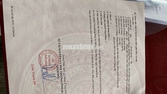 Lô đất diện tích lớn, có nhà cấp 4, tiềm năng tại đà nẵng.