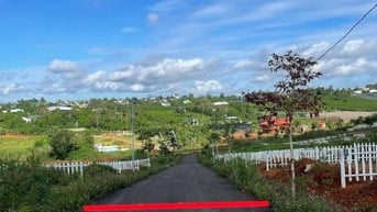 Công ty Đấu giá hợp danh Lam Sơn Sài Gòn THÔNG BÁO ĐẤU GIÁ TÀI SẢN