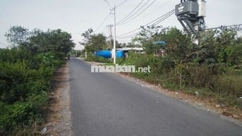 Bán gấp lô đất 661,5m2 Sổ hồng riêng tại Lê Minh Xuân, Bình Chánh cũ